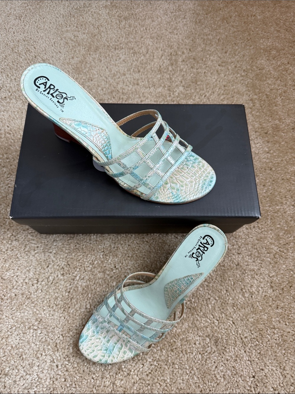Carlos by CarlosSantana  Mint Strappy Slide Women’s Heels Wedges